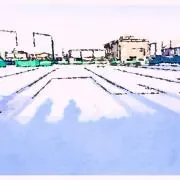 くりの画像