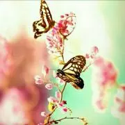 さく☺︎の画像
