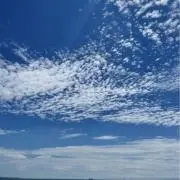 リリの画像