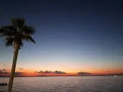 TECHSTAR 真鯛 50 - 330 竿 オリムピック 船竿 - メルカリ