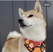 はーぶの画像