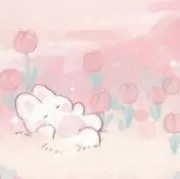 天羽の画像