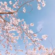 Yukaの画像