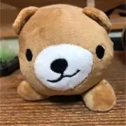 みっちゃんの画像