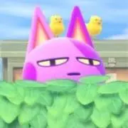 ニコぱんの画像