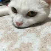 ゆう(*^▽^*)