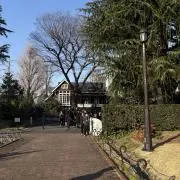 Nikoの画像