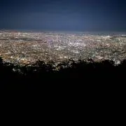 ポーの画像