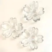 ✿Miyu✿の画像