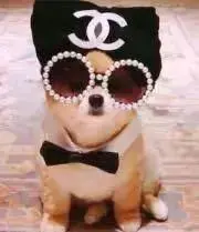 パーツ】大都技研 グラフィカ枠用 上部ユニット - メルカリ