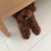 keeoの画像