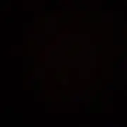 アンポの画像