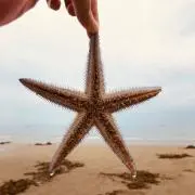 フオン