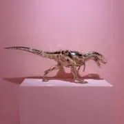 らぷとるの画像