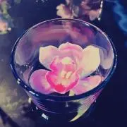 Jakurinの画像