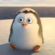 ぴょんちゃん