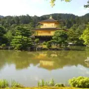 政宗の画像