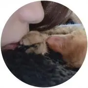 ☺︎こやまもと☺︎