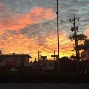 星テソン