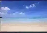 みっぴの画像
