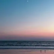 Yuの画像