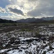 翠月