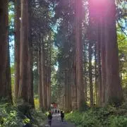 ideの画像