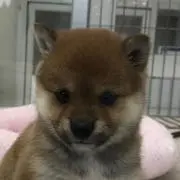 toruykzの画像