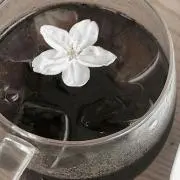 ❁の画像