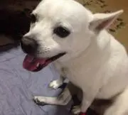 むっちの画像