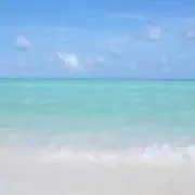 sunny☆の画像