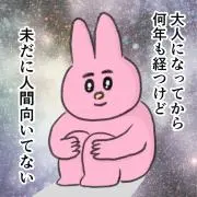 ぽむ⭐︎全て匿名配送⭐︎の画像