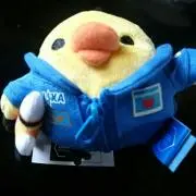 涼太