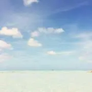 rinの画像