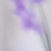meme スマホケースオーダー受付中の画像