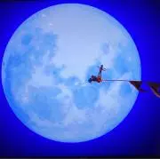 ®️.の画像