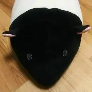 kの画像