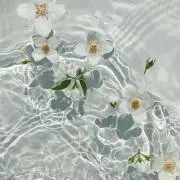 うみの画像