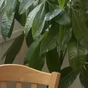 lの画像