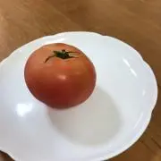 とまとの画像