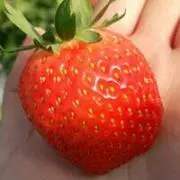 いちごミルク♪