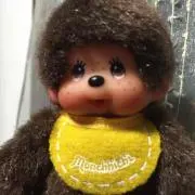もんちっちの画像