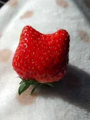 みほの画像