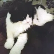 ガスの画像