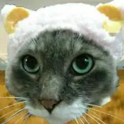 あもかち