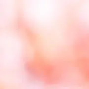 みっぴーの画像
