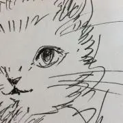 cyubun