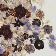 hana❁⃘の画像