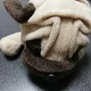 桃庵　断捨離中
