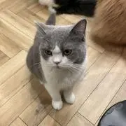 haruの画像